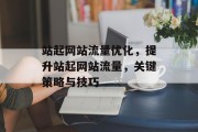 站起网站流量优化,提升站起网站流量,关键策略与技巧 站起网站流量优化,提升站起网站流量,关键策略与技巧