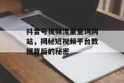 抖音号视频流量查询网站，揭秘短视频平台数据背后的秘密