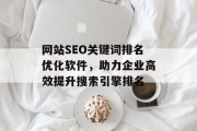 网站SEO关键词排名优化软件，助力企业高效提升搜索引擎排名