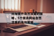 抖加提升自然流量的策略,5个提高网站自然流量的有效策略 抖加提升自然流量的策略,5个提高网站自然流量的有效策略