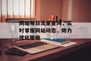 网站每日流量查询，实时掌握网站动态，助力优化策略