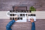 如何让ins网站流量爆棚？，提升个人网站流量的策略