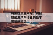 特斯拉流量网站，揭秘新能源汽车行业的数字营销新趋势