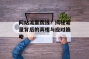 网站流量费钱？揭秘流量背后的真相与应对策略