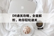 DR通关攻略,全面解析,助你轻松通关 DR通关攻略,全面解析,助你轻松通关