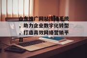 山东推广网站搭建系统，助力企业数字化转型，打造高效网络营销平台
