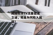 揭秘欢子TV流量低迷之谜,究竟为何陷入困境? 揭秘欢子TV流量低迷之谜,究竟为何陷入困境?