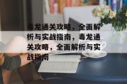 毒龙通关攻略，全面解析与实战指南，毒龙通关攻略，全面解析与实战指南