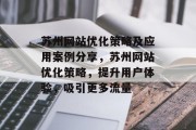 苏州网站优化策略及应用案例分享，苏州网站优化策略，提升用户体验，吸引更多流量