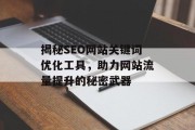 揭秘SEO网站关键词优化工具，助力网站流量提升的秘密武器