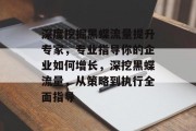 深度挖掘黑蝶流量提升专家，专业指导你的企业如何增长，深挖黑蝶流量，从策略到执行全面指导