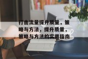 打击流量提升质量,策略与方法,提升质量,策略与方法的实用指南 打击流量提升质量,策略与方法,提升质量,策略与方法的实用指南
