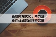 新疆网站优化,助力企业在线崛起的秘密武器 新疆网站优化,助力企业在线崛起的秘密武器