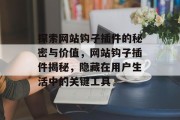 探索网站钩子插件的秘密与价值,网站钩子插件揭秘,隐藏在用户生活中的关键工具 探索网站钩子插件的秘密与价值,网站钩子插件揭秘,隐藏在用户生活中的关键工具