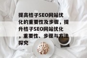 提高桔子SEO网站优化的重要性及步骤,提升桔子SEO网站优化,重要性、步骤与方法探究