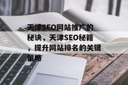天津SEO网站推广的秘诀，天津SEO秘籍，提升网站排名的关键策略
