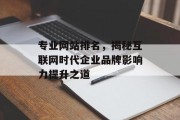 专业网站排名,揭秘互联网时代企业品牌影响力提升之道 专业网站排名,揭秘互联网时代企业品牌影响力提升之道