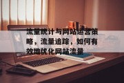 流量统计与网站运营策略，流量追踪，如何有效地优化网站流量