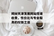 揭秘天津发展网站搭建收费，性价比与专业服务的权衡之道