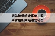 网站流量统计系统,数字背后的网站运营秘密 网站流量统计系统,数字背后的网站运营秘密