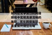 ota流量提升捷径，如何在竞争激烈的网络环境中实现高速流畅的体验，优化网络体验，流量提升捷径攻略