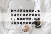 新手流量提升策略,如何让您的网站更受欢迎?,互联网营销,新手流量提升策略大公开