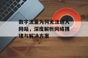 数字流量为何无法进入网站,深度解析网络拥堵与解决方案 数字流量为何无法进入网站,深度解析网络拥堵与解决方案