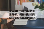 深入剖析特斯拉网站流量分析，揭秘特斯拉网站流量分析软件的奥秘