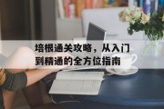培根通关攻略,从入门到精通的全方位指南 培根通关攻略,从入门到精通的全方位指南