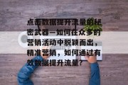 点击数据提升流量的秘密武器—如何在众多的营销活动中脱颖而出，精准营销，如何通过有效数据提升流量?