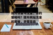 提升访客与流量,你的策略吗?提升网站流量的策略,步骤指南