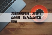 流量数据网站,洞察行业脉搏,助力企业精准营销 流量数据网站,洞察行业脉搏,助力企业精准营销