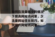 如何在流量很少的情况下提高网站访问量,少流量网站优化技巧,如何提升网站访问量 如何在流量很少的情况下提高网站访问量,少流量网站优化技巧,如何提升网站访问量