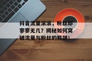抖音流量滚滚,粉丝却寥寥无几?揭秘如何突破流量与粉丝的瓶颈! 抖音流量滚滚,粉丝却寥寥无几?揭秘如何突破流量与粉丝的瓶颈!