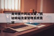 高效提升网站流量,揭秘网站流量管理系统奥秘 高效提升网站流量,揭秘网站流量管理系统奥秘