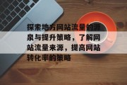 探索地方网站流量的源泉与提升策略，了解网站流量来源，提高网站转化率的策略
