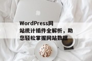 WordPress网站统计插件全解析,助您轻松掌握网站数据 WordPress网站统计插件全解析,助您轻松掌握网站数据