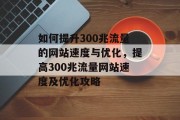 如何提升300兆流量的网站速度与优化,提高300兆流量网站速度及优化攻略