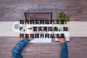 如何购买网站的流量IP,一套实用指南,如何有效提升网站流量 如何购买网站的流量IP,一套实用指南,如何有效提升网站流量