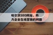 哈尔滨SEO网站,助力企业在线营销的利器 哈尔滨SEO网站,助力企业在线营销的利器