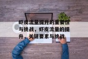 虾皮流量提升的重要性与挑战,虾皮流量的提升,关键要素与挑战
