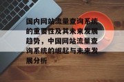 国内网站流量查询系统的重要性及其未来发展趋势,中国网站流量查询系统的崛起与未来发展分析 国内网站流量查询系统的重要性及其未来发展趋势,中国网站流量查询系统的崛起与未来发展分析