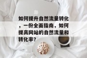 如何提升自然流量转化,一份全面指南,如何提高网站的自然流量和转化率? 如何提升自然流量转化,一份全面指南,如何提高网站的自然流量和转化率?