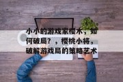 小小的游戏家樱木,如何破局?,樱桃小将,破解游戏局的策略艺术 小小的游戏家樱木,如何破局?,樱桃小将,破解游戏局的策略艺术