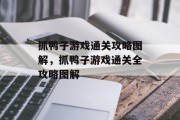 抓鸭子游戏通关攻略图解，抓鸭子游戏通关全攻略图解