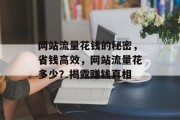 网站流量花钱的秘密,省钱高效,网站流量花多少?揭露赚钱真相 网站流量花钱的秘密,省钱高效,网站流量花多少?揭露赚钱真相