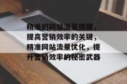 精准的网站流量提醒,提高营销效率的关键,精准网站流量优化,提升营销效率的秘密武器 精准的网站流量提醒,提高营销效率的关键,精准网站流量优化,提升营销效率的秘密武器