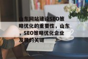 山东网站建设SEO策略优化的重要性，山东，SEO策略优化企业发展的关键