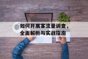 如何开展客流量调查,全面解析与实战指南 如何开展客流量调查,全面解析与实战指南