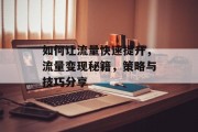 如何让流量快速提升,流量变现秘籍,策略与技巧分享 如何让流量快速提升,流量变现秘籍,策略与技巧分享